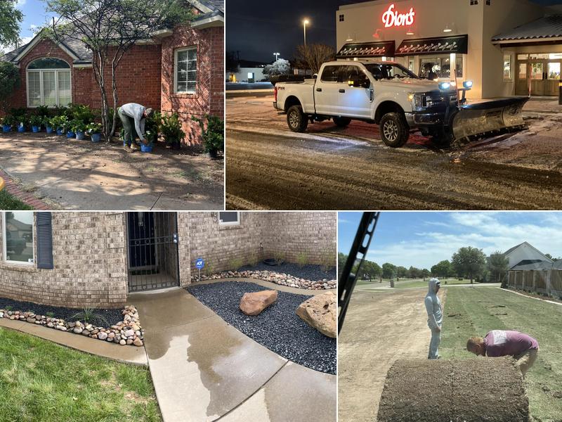 Roots Lawn and Landscape