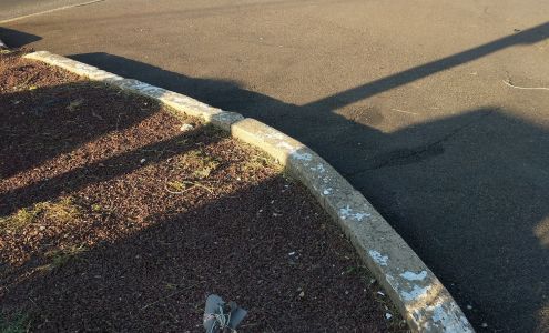 Dreamscapes Landscaping Inc