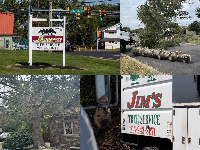 Jim's Tree Service