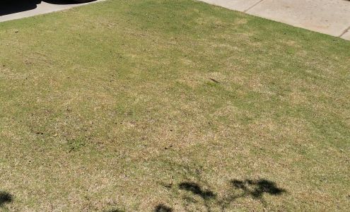 Hardy Trees & Nursery Inc