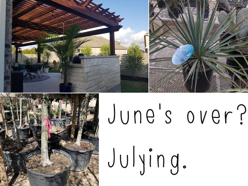 Cantu Nursery & Landscape