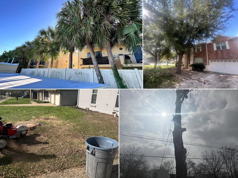 Ramirez Tree Service 512