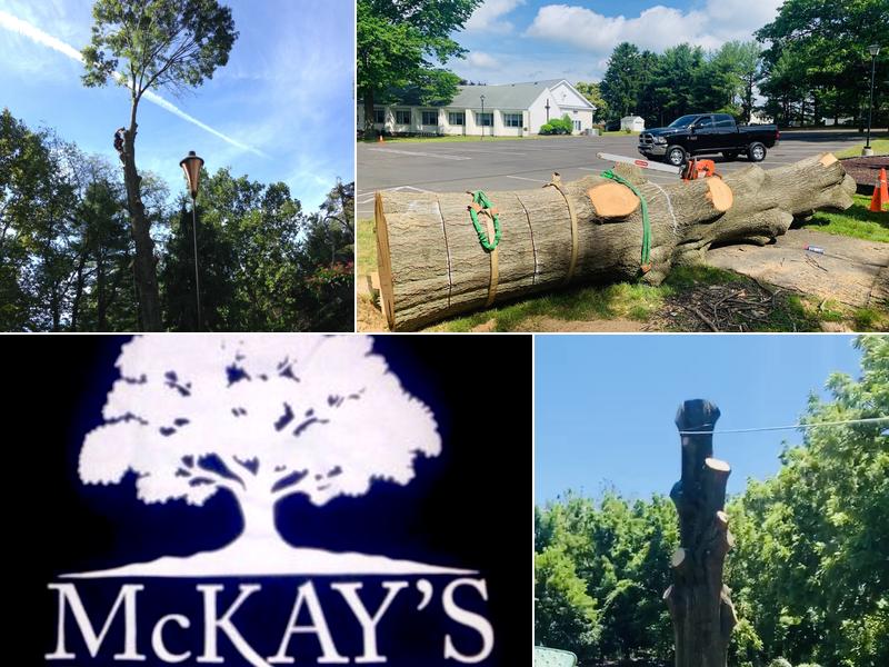 Mckays Tree Services
