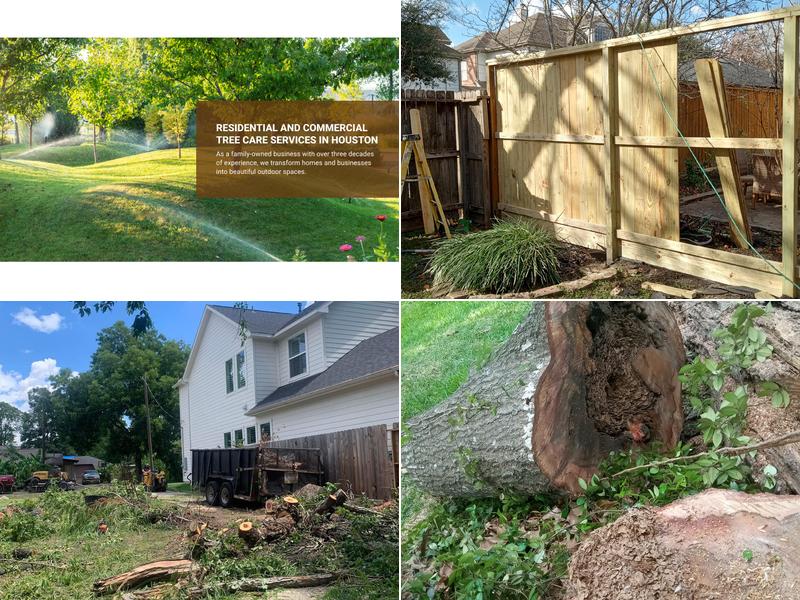 William Tree Service