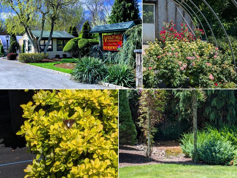 Violet Hill Landscaping and Nursery Co