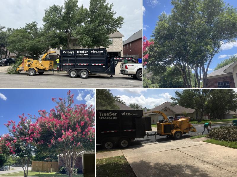 Catheys Tree Service