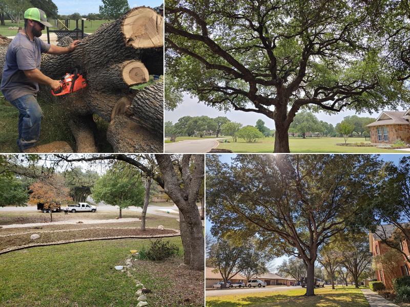 TX Contracting Professionals LLC