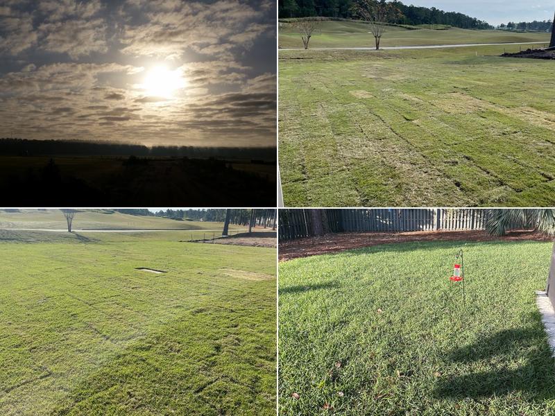 Nimmer Turf Farm Inc