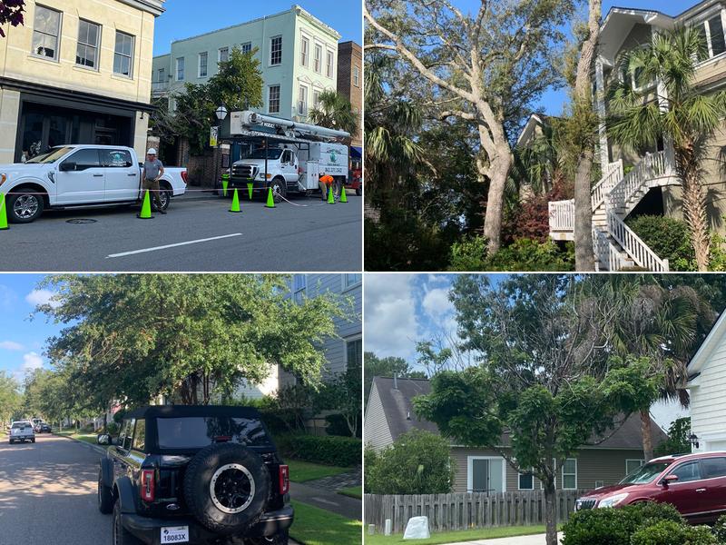 Planet Green Tree Service