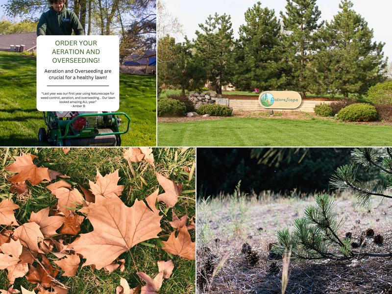 Naturescape Lawn and Landscape Care