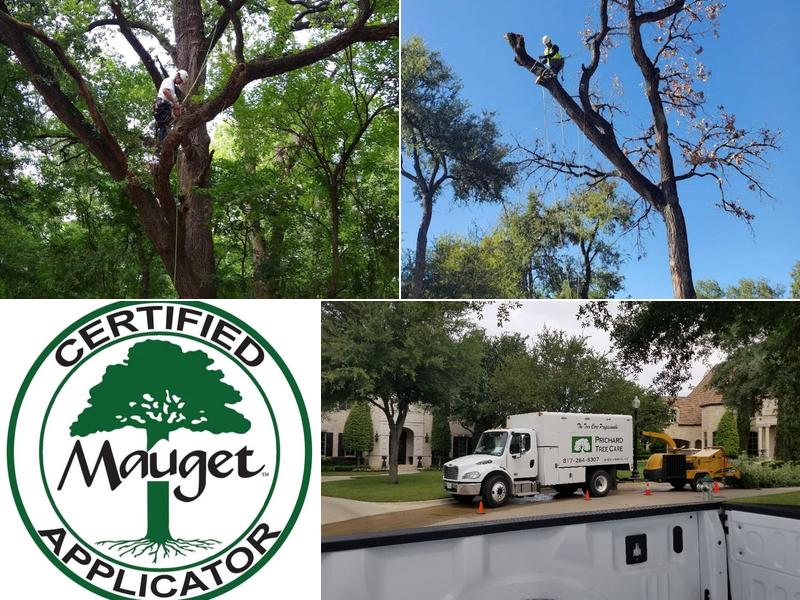 Prichard Tree Care