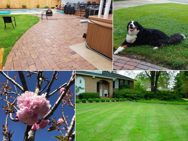 Mendoza Landscaping Columbia SC