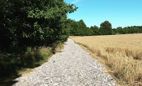 Buck's Materials 3831 Old State Hwy 11, Springfield Tennessee 37172