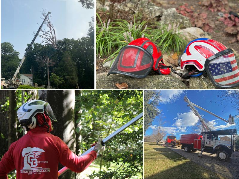 Grant Brothers Tree Service