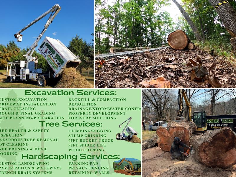 Grubb Tree and Excavation