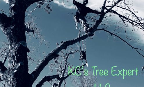 KC's Tree Expert, LLC 2437 Yorkshire Dr, Sandy Level Virginia 24161