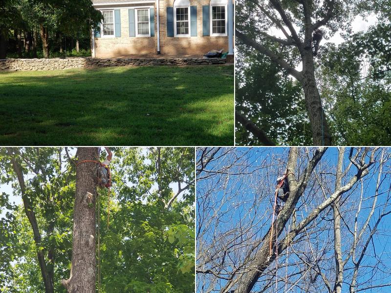 Browns' Tree And Landscaping/Home Improvements, LLC