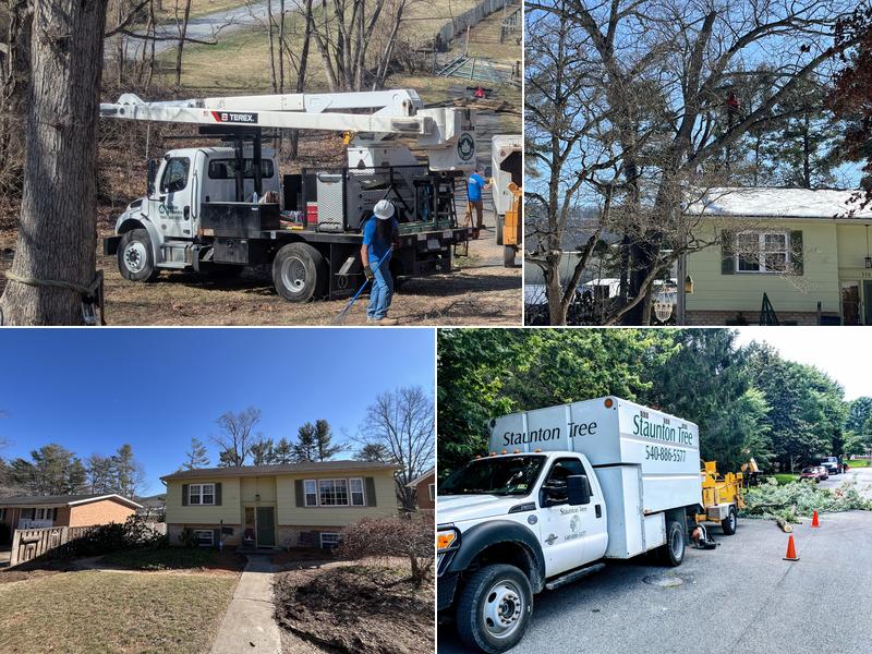 Staunton Tree Service
