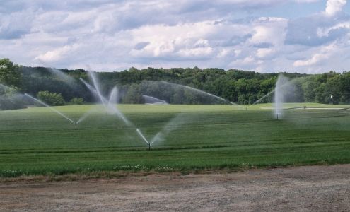 Brookmeade Sod Farm, Inc. 14328 Medley Grove Ln, Doswell Virginia 23047