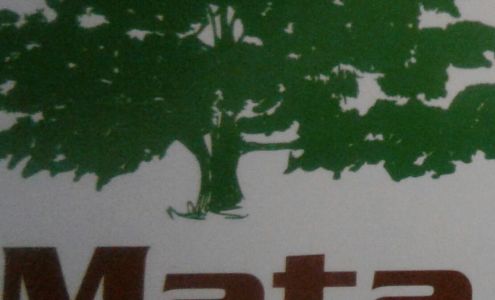 Tree Service Co. 14893 Co Rd 2132, Tatum Texas 75691