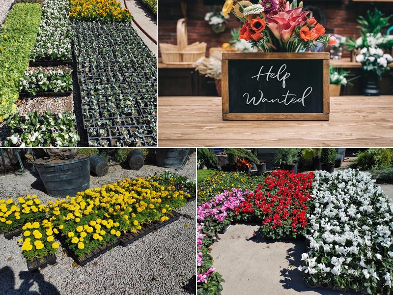 Eternal Springs Nursery