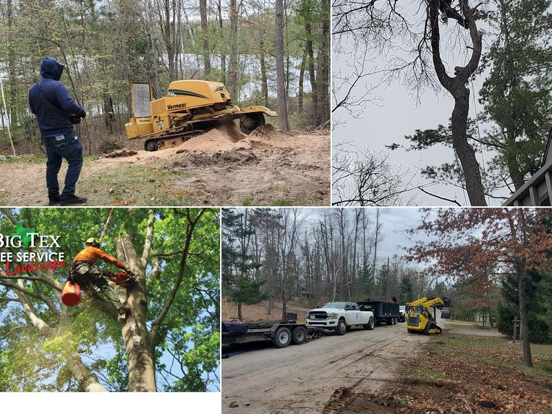 Big Tex Tree Service
