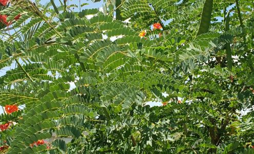 Renken's Nursery Inc