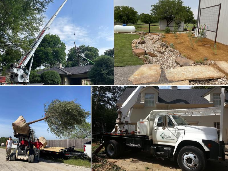 Texas Tree & Landscape