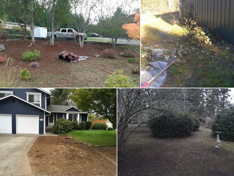 T&S CLEAN UP & Removal