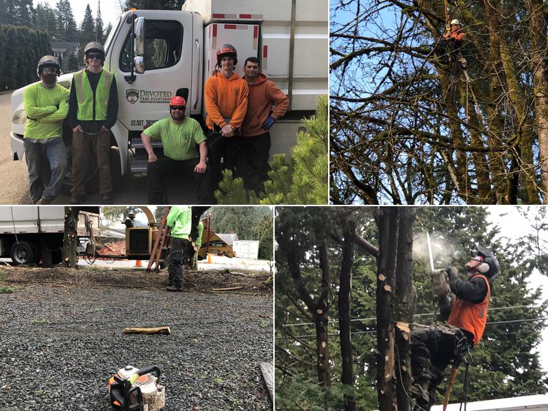 Devoted Tree Solutions