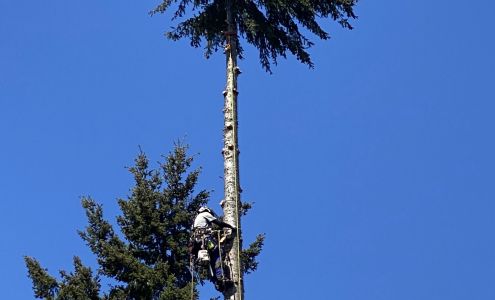 Axia Tree Service | Arborist in Lakebay and Gig Harbor, Washington 1617 190th Ave NW, Lakebay Washington 98349
