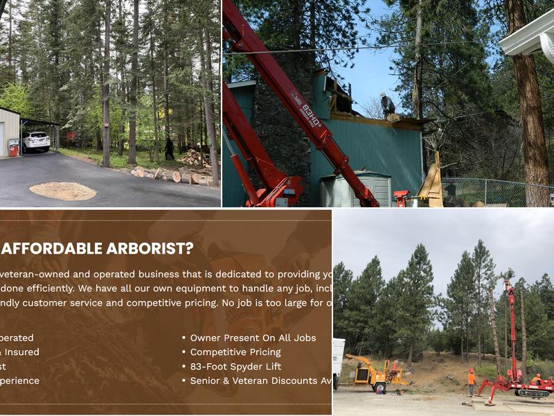 Affordable Arborist Tree Care INC