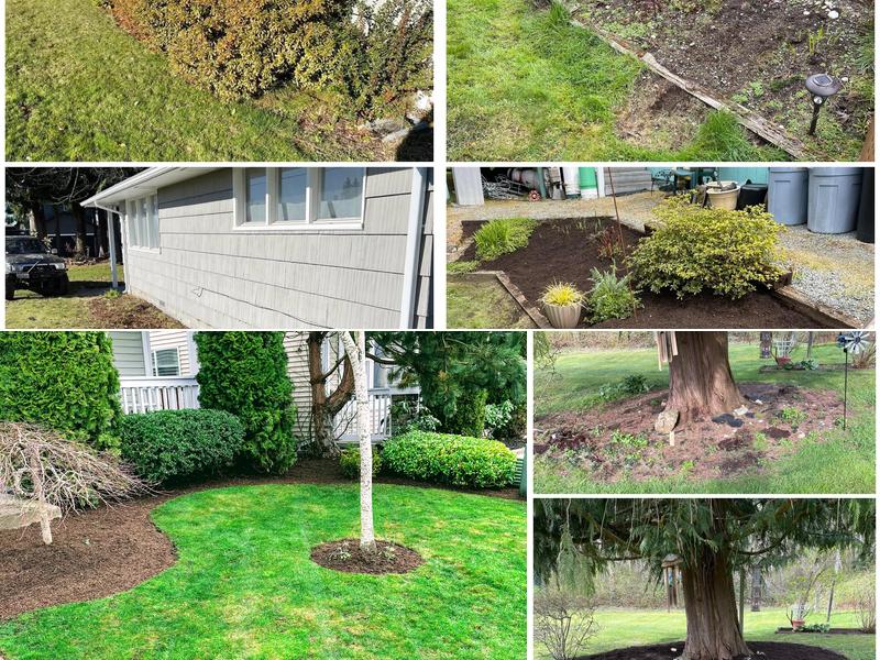 Sonnie’s Lawn Maintenance