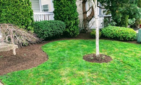 Sonnie’s Lawn Maintenance