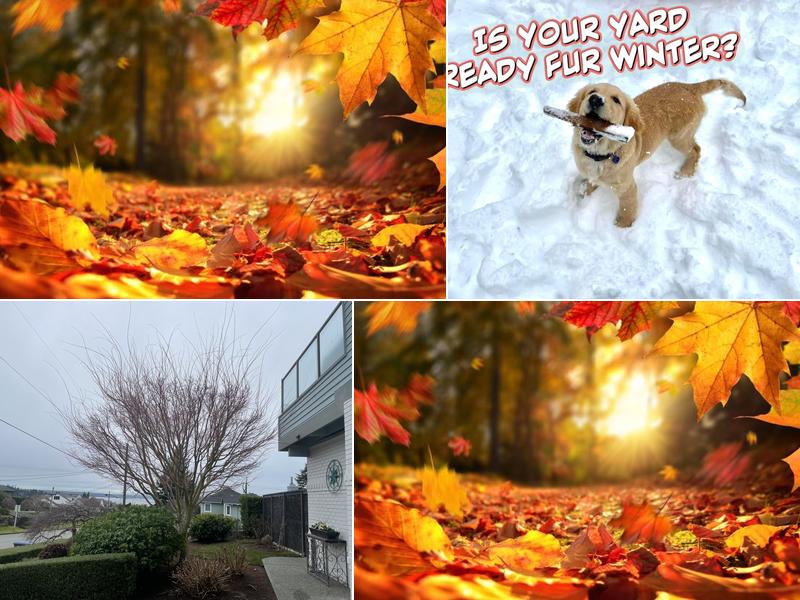 Hart and Sons Landscape