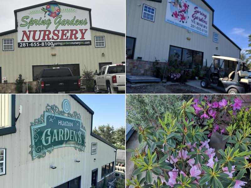 Spring Gardens Nursery