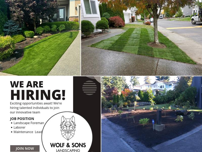 Wolf and Sons Lawn and Landscaping Services LLC