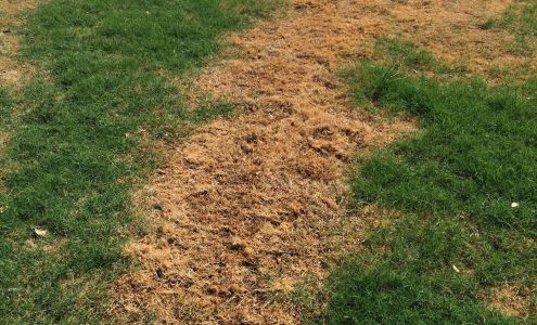 New Leaf Landscaping 138 Tannehill Dr, Abilene Texas 79602