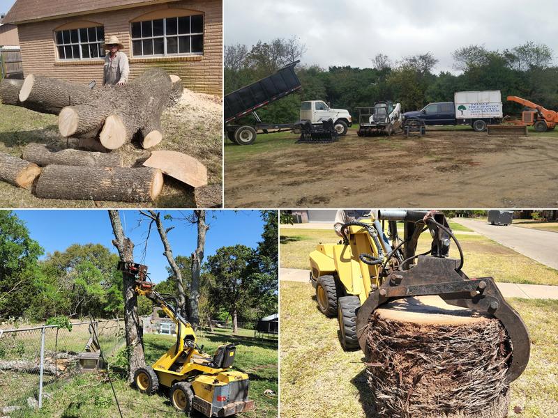 Yosef Tree Service & Landscape