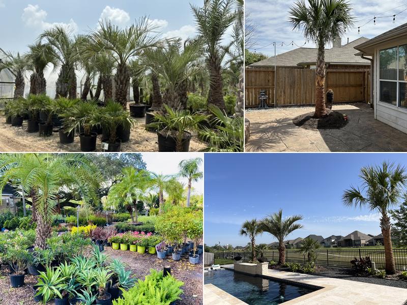 Rosehill Palms Nursery & Garden Center