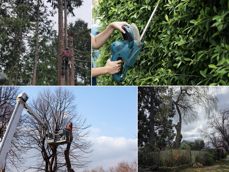 Hard Work Tree Services LLC