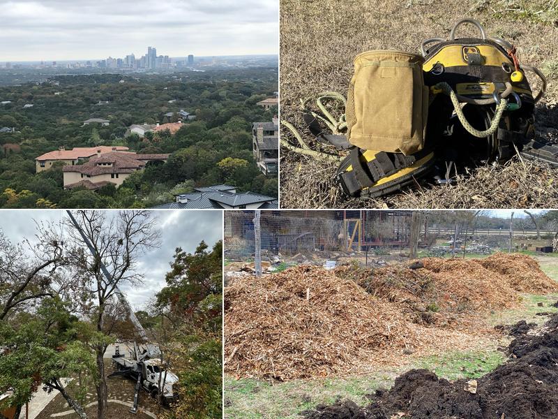 Simple Leaf Tree Care