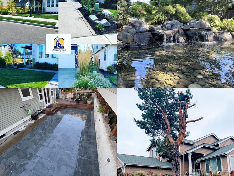 Dominguez landscaping service,LLC
