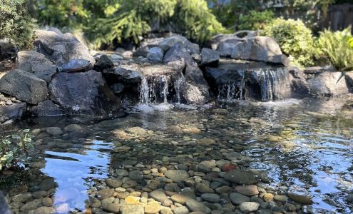 Dominguez landscaping service,LLC 4804 121st St SW, Lakewood Washington 98499