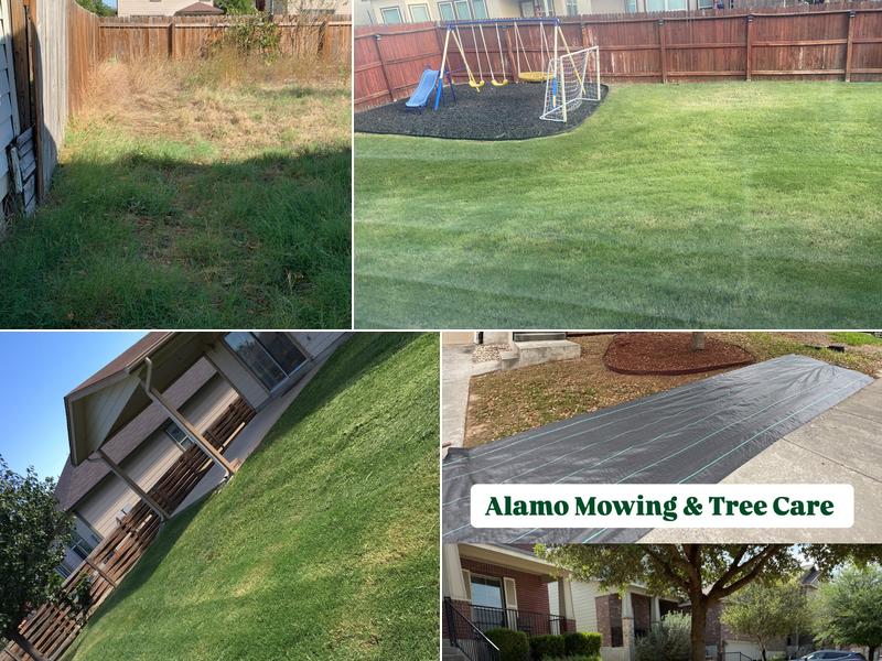Alamo Mowing & Tree Care