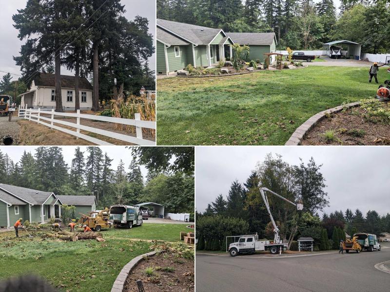Williams Tree and Stump Removal LLC
