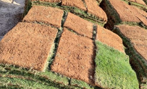 The Grass Company 333 Old Hwy 90 W, San Antonio Texas 78237