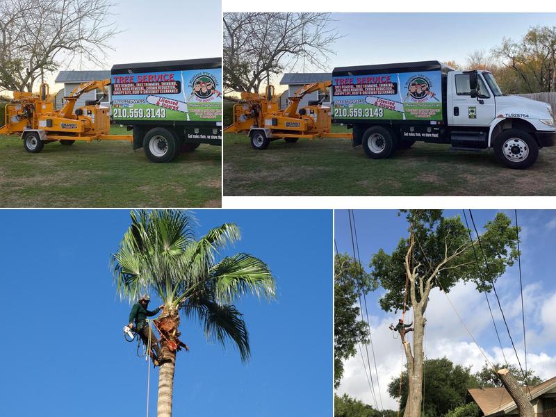 3 Monkeys Tree Service