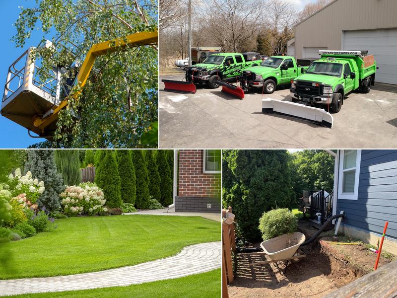 Turf & Tree Worx