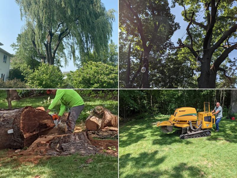 Genesis Tree Service